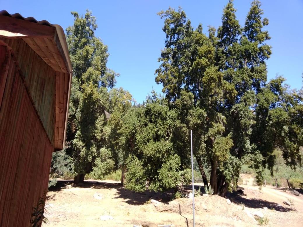 Cabanas El Toro - Radal Siete Tazas Molina  Εξωτερικό φωτογραφία